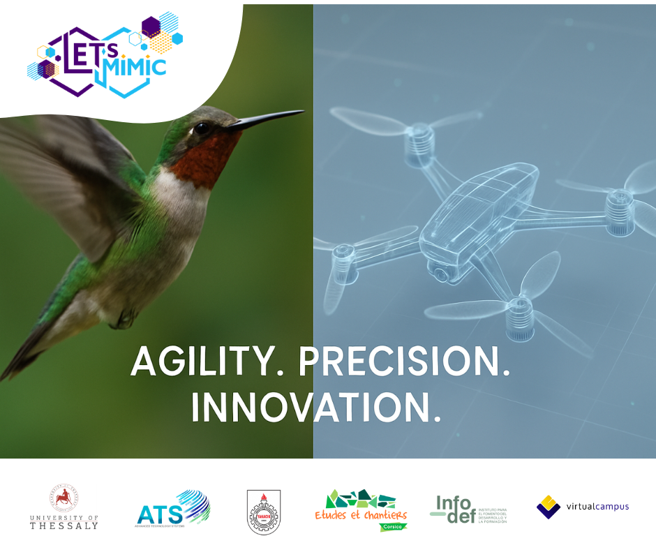 Designing more agile drones: inspired by the hummingbird's swift and precise flight!