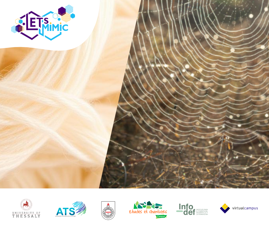 Nature’s genius: Spider Silk vs. Synthetic Fibers!