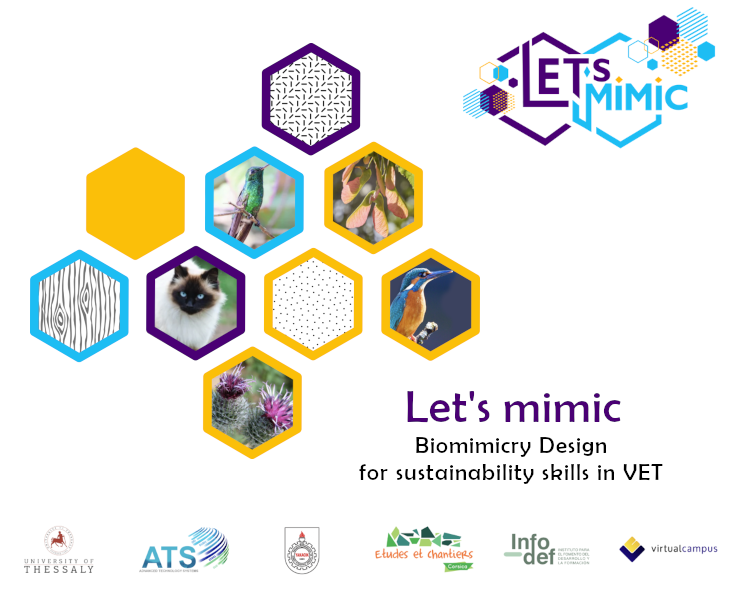 Let's mimic project