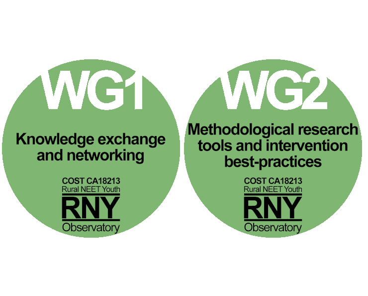 RNYN project Working Groups
